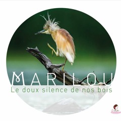 01 - Le Doux Silence De Nos Bois