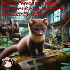 Marten Melodies 2 Continuous Mix