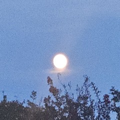 Whispering Greetings (Prod. Kzzz)