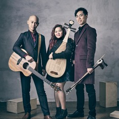 Cake by the Ocean by DCNE [Erhu | Pipa | Guitar ] (Fusion Cover)