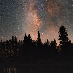 The Wonderous Dark