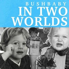 Bushbaby - In Two Worlds (STPT078b)