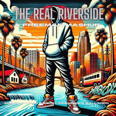 Sidney Samson & B00ST vs Eminem & Gallardo - The Real Riverside (A Freeman Mashup)