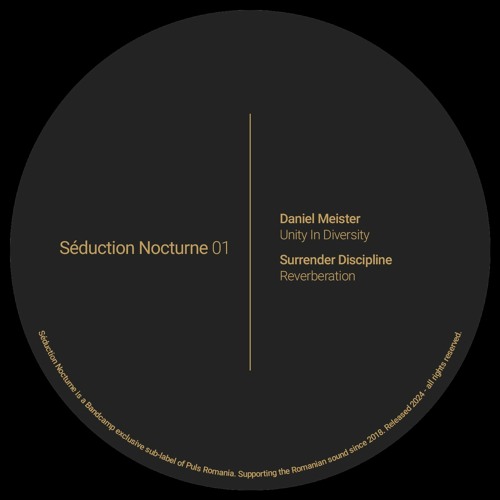 PREMIERE: Surrender Discipline - Reverberation [SN001]