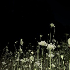 TUCKER DOUBT - HEEBEE JEEBIES 9,000