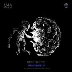David Phoenix - Predetermined (Original Mix)