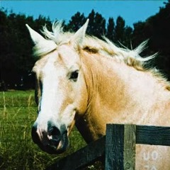 mayh3mp - nights turn into the morning (prod. truss)