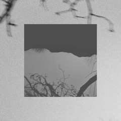 elpis