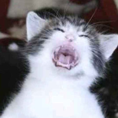 Fukk my life alt vrs