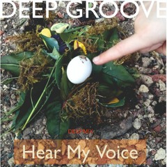 HearMyVoice(DeepGroove) - DEEPMIX