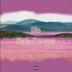 DaTwinz - No Raindrops