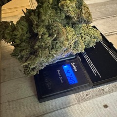 AUTOVAL VERSENYZUNK CORONITA