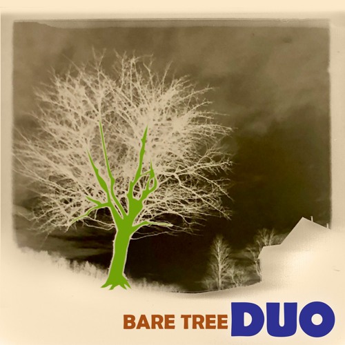 Bare Tree Duo