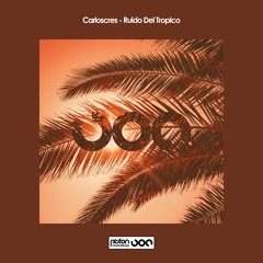 PREMIERE: Carloscres - Ruido del Tropico [Piston Recordings]