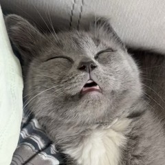 Любе-голубе vol.2 VinylOnly