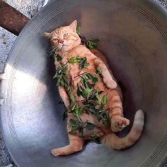 [08.07.24]