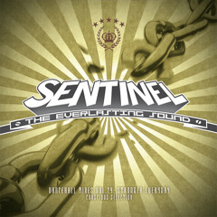 Sentinel Sound - Dancehall Mix Vol 24 - Conscious Selection - Stronger Everyday [2012]