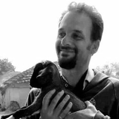 Episode 031 - Andrew Millison: The Scale of Permaculture We Need