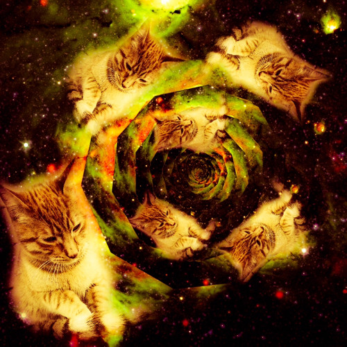 Stream Cat Scratch by Leafy Listen online for free on SoundCloud