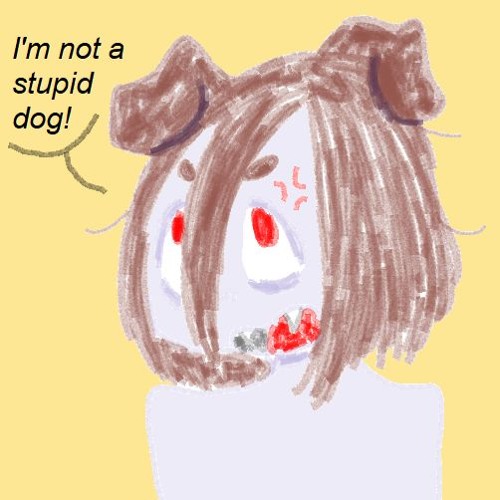 Pupi Blog #2 I'm Not A Stupid Dog