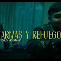 Armas y refuego