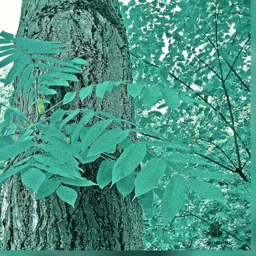 YUNG LEAN - GINSENG STRIP 2002 (MIKAL JONES INSTRUMENTAL REMIX)