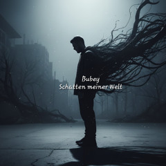 Bubey - Schatten meiner Welt