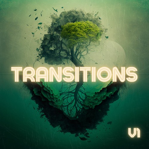Transitions Vol 1