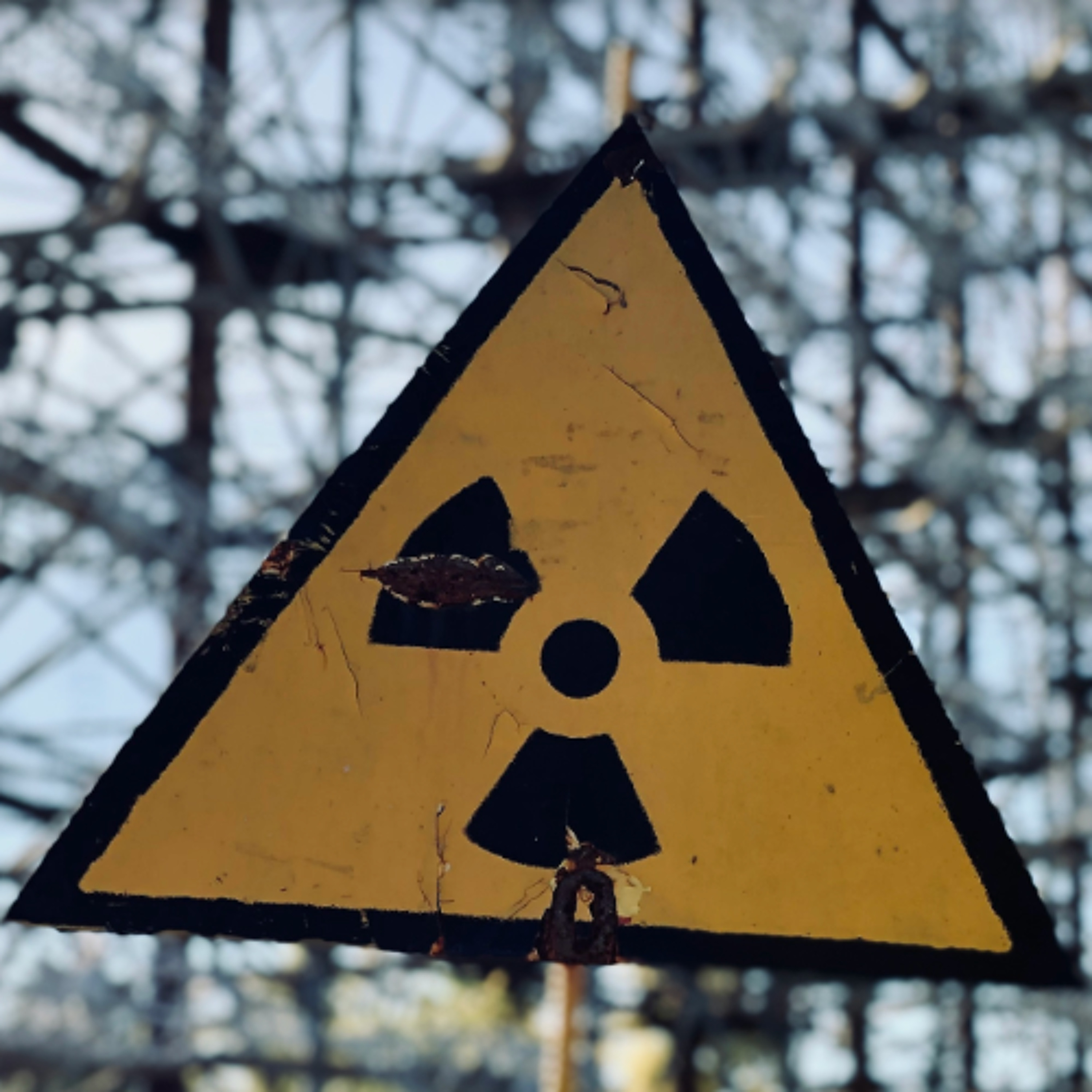 buzz_251119_Kevin-Kamps