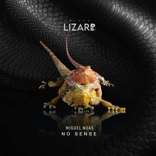 Miguel Nuas - No Sense