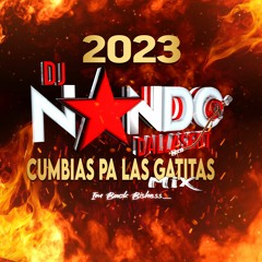 CUMBIAS PA LAS GATITAS MIX DJ NANDO 2023