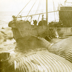 July - Michael Stoddart, Tasmania’s southern horizon: exploration, whaling, science, diplomacy