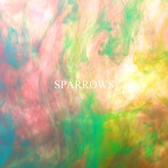 Sparrows