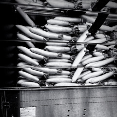 N型hoshino - 朗読サイケデリックス（prod. Chang diz）