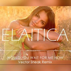 Would You Wait For Me Now (Vector Sneak Deep House Remix)