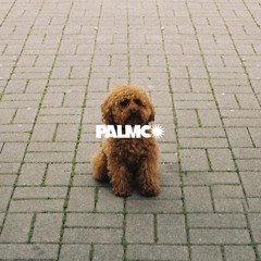 WAXC CLUB #1 ✹ 45:33RPM ✹ 13/06/25 ✹ PALMCO