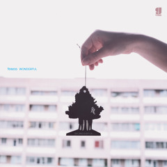 Wonderful feat. Earl Zinger (Album)