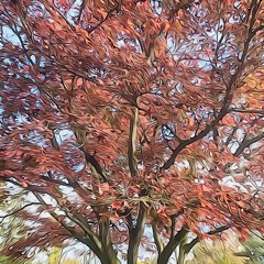 Herbst in Dub // Lunatics // cosmic ratzz, jorxworx, Lofi Menta