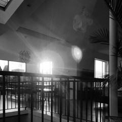 house in the time of corona