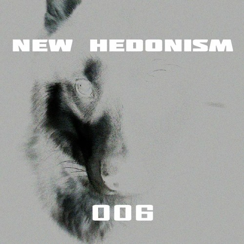 NEW HEDONISM - Ceaseless Euphoria - Podcast006