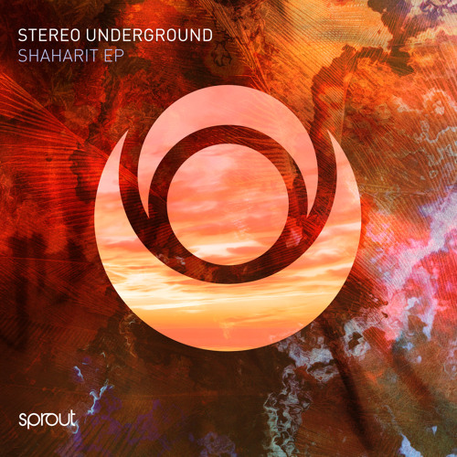 Premiere: Stereo Underground - True Colors [Sprout]