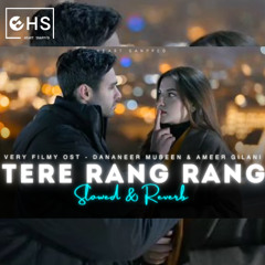 Tere Rang Rang [Slowed & Reverb] | Very Filmy OST | Dananeer Mubeen & Ameer Gilani | Heart Snapped