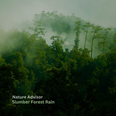 Slumber Forest Rains