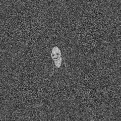 mus_st_him