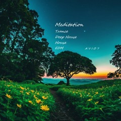 A V I O 7 - Meditation (Set)