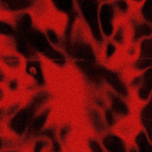 Techno