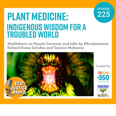 The Power of Plants: Ethnobotany and Spiritual Healing