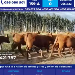 Federico Jaso - Pantalla Uruguay