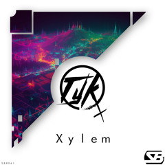 TYK - Xylem (Original Mix) ***OUT NOW EVERYWHERE***