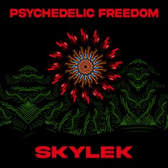 Psychedelic Freedom (Remix)